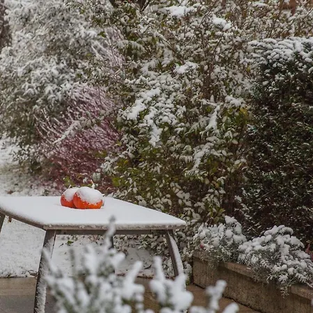 Brucknergut Ξενοδοχείο Ansfelden