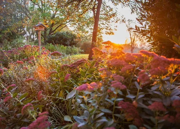 Brucknergut アンスフェルデン