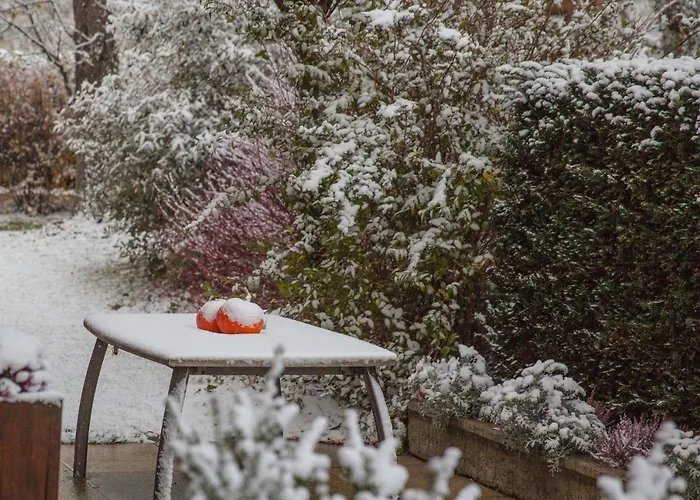Brucknergut Hotel Ansfelden