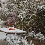 Brucknergut Hotel Ansfelden