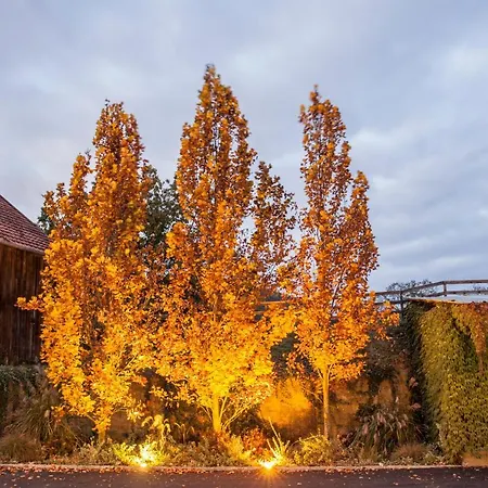 Brucknergut Hotel Ansfelden