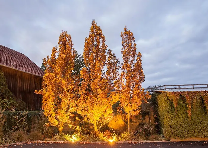 Brucknergut Hotel Ansfelden